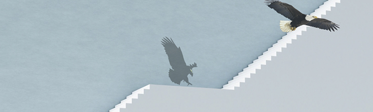 mansion88·明升(中国集团)官方网站